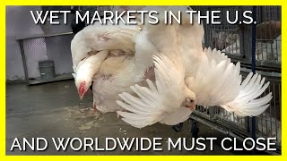 PETA Calls for the Closure of All Wet Markets Around the World