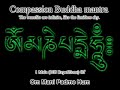 Om Mani Peme Hum - Tibetan Short Form (108 times)