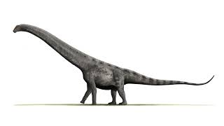 The Sounds Of Argentinosaurus Huinculensis