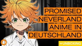 Deutsche One Piece-Synchro geht weiter?Promised Neverland kommt!?DB-News ? Ninotaku Anime News 157