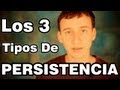 Tipos De Persistencia (Ciega, Aleatoria y Planeada)