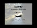 Narrow Video preview