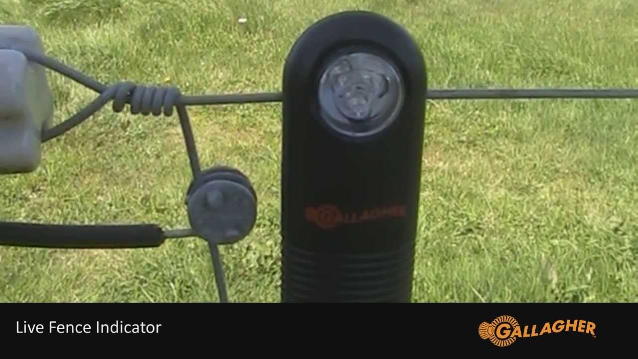 Gallagher Live Fence Indicator Installation YouTube