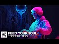 Toneshifterz - Feed Your Soul (Official Audio)