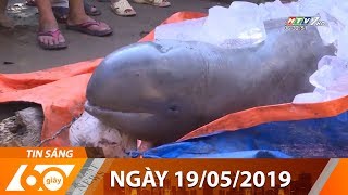60 Giây Sáng - Ngày 19/05/2019 - Tin Tức Mới Nhất