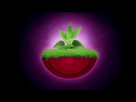 Growing Unconsciousness Video