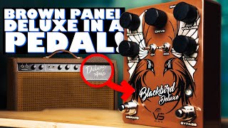 Vintage Fender Amp & Tremolo Tones | VS Audio Blackbird Deluxe