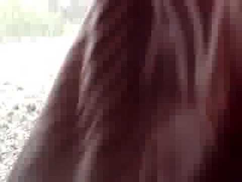 Gewitter Video