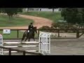 George Johnson on Armina at SIEC Day 1 Dec 2010.wmv