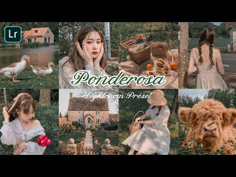 How to edit Ponderosa Preset | Lightroom Tutorial + Free DNG | สอนแต่งรูปด้วยแอพ Lightroom ในมือถือ