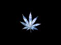 Pop That Thang - Caked Up - Bass Boosted