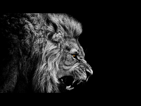 Скачать Радио № 5 2012 - rad2012 05. djvu Скачать Радио № 5 2012 - rad2012 05. djvu
