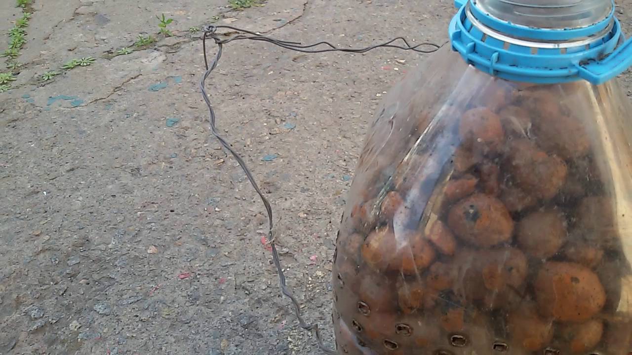 Низкокалорийный салат из кальмар рецепт Низкокалорийный салат из кальмар рецепт
