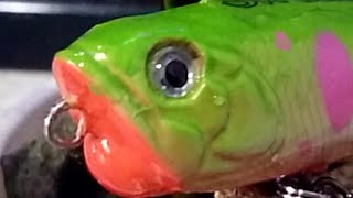 Replika Lure Pencil Duo Realis 70F Sr Lure Handmade
