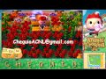 Animal Crossing: New Leaf - Parte 45 - ¡BOMBO! El guardián de Diamante - Chequio