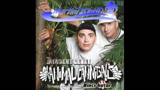 Watch Animal Cannibals Budapest Nyaron video