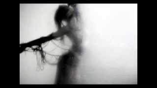 Watch Falling Leaves Vanished Serenity video