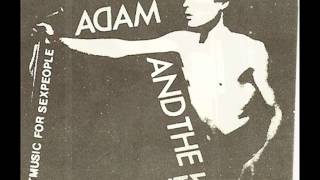 Watch Adam The Ants Kick video