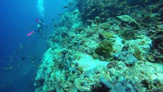 Diving Vacation - Maldives 2014 Gopro4 Silver