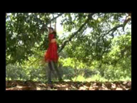 Adivasi Mundari video song aam ge tain.3gp