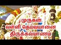 Lord Murugan Valli Deivanai Thirukalyanam | வள்ளி தெய்வானைதிருக்கல்யாணம் |Lord Murugan Thirukalyanam