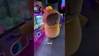 Farting Prank In A Capybara Costume Makes You Laugh