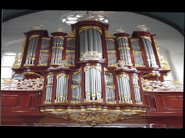 Serie-8 - Behoed uw kerk