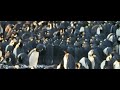 EMBARGOED Emperor Penguin Huddles Shuffle Like Cars in a Traffic Jam | Video