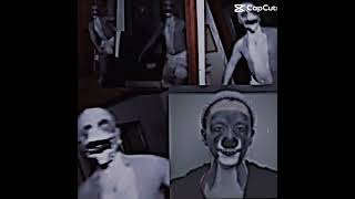 Dolphin Man