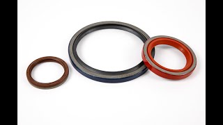 Oil Seal2