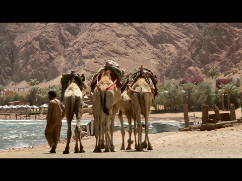Egypt Experience 2017 - GioiaDive Egypt Experience 2017 - GioiaDive