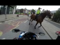 Suzuki GSXR wheelie and busted by police on a horse in Central London