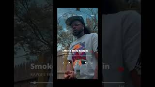 ⚠️Smoke Away Da Pain⚠️By Kaygee Finesse I$  Take A Listen👂 Https://Bit.ly/3Aaxh3Q #Polog #Lilbaby