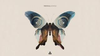 Watch Tritonal Rewind video