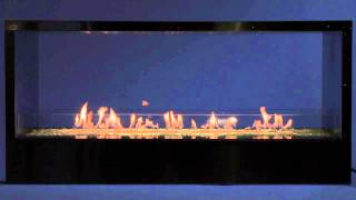Outdoor Linear 48-Inch See-Through Fireplace With LED Lighting (Outdoor Fireplaces) by Carol Rose