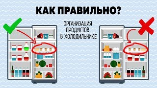 Как Правильно Хранить Продукты В Холодильнике! Что В Моем Холодильнике?