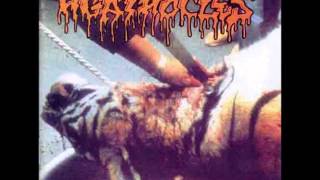 Watch Agathocles Is It Really Mine video