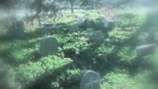 Watch Ron Sexsmith Pretty Little Cemetery video