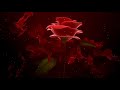 IL DIVO -La Fuerza mayor