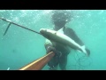 pescasub -Midland XTC 200 _Gimansub.mp4