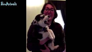 Funny Animals, Funny People #835