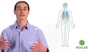 Az Endocannabinoid Rendszer Működése