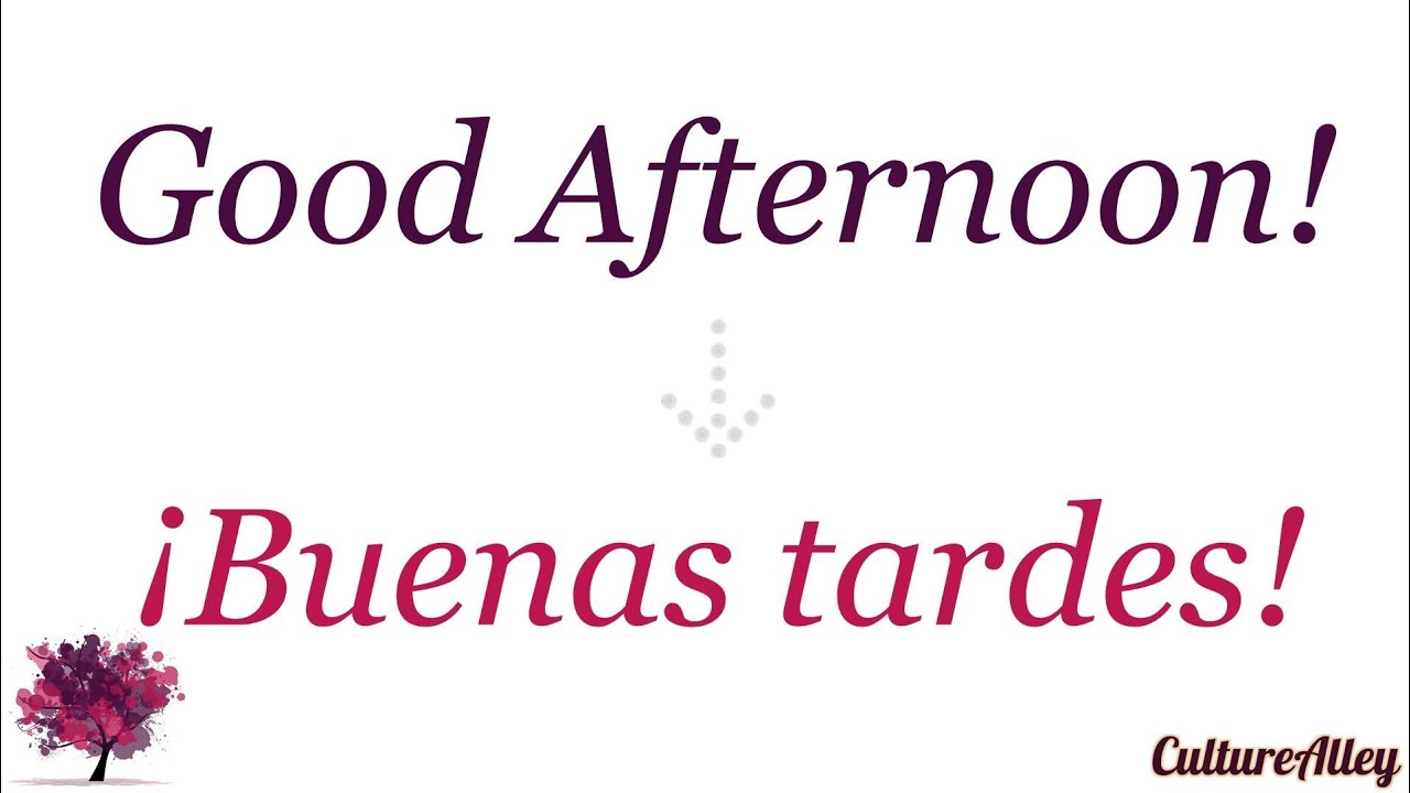 what is the spanish term for good afternoon