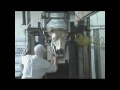 Abattoir Halal Les Abattages Rituels images Abattoir Halal Les Abattages Rituels