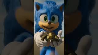 Sonic And The Turtle Scene Sonic The Hedgehog 2020
