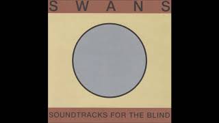 Watch Swans The Beautiful Days video