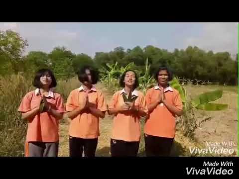 โครงสร้างภายนอกของใบมะม่วง