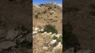 Cimiltimanzaraları