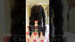 Chebe Journey. Week 20 Day 131. Chebe Powder For Thick Hair.