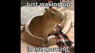 It Was A Good Day - Capybara Edition